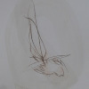 photo de dessin
