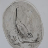photo de dessin
