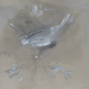photo de dessin