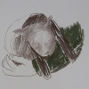 photo de dessin