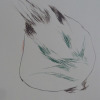 photo de dessin